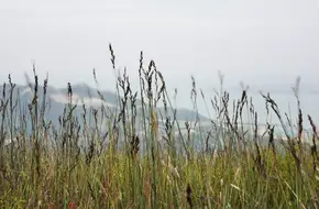 Qingshan Mountain