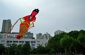 Peace Park