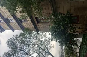 Moon Viewing Tower