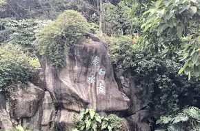 Zhonggu Mountain Scenic Area
