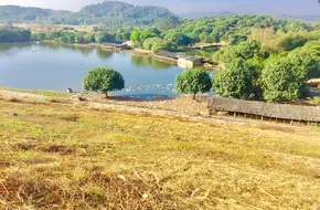 Xili Reservoir Nanshan Orchard