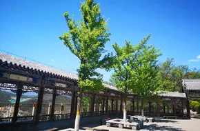 Nangong Tourism Scenic Area