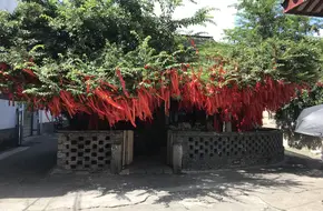 Jade Palace