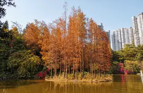 Zhujiang Park