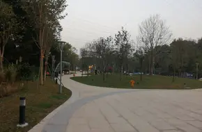 Shenzhen Polytechnic