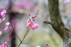 Zhaojialou-Lishuifang