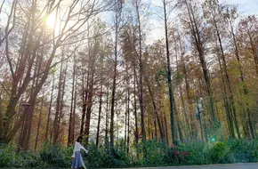 Botanical Garden Lake Area