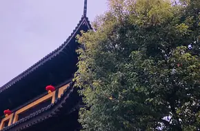Longevity Zen Temple