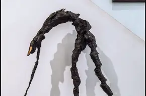 Suomei M50 Gallery