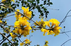 Meilin Mountain Park