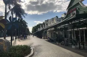 Tulip Street