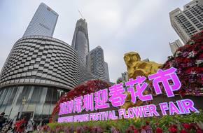2020 Shenzhen Spring Flower Market Central Venue