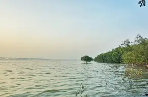 Bao'An West Bay Mangrove Park
