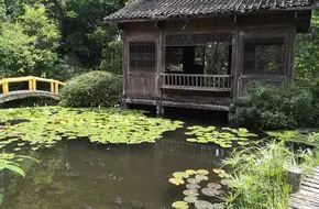 The Peach Blossom Land