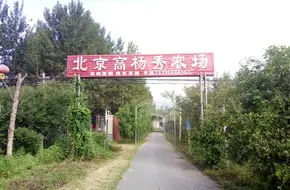 Gaoyangxiu Farm