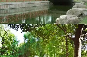 Shanghai Institute Of Visual Arts