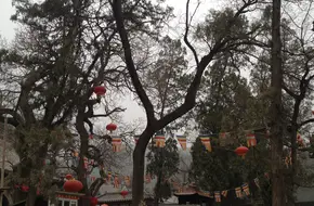 Dabei Temple, Badachuan