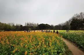 Chen Lushan Quarry