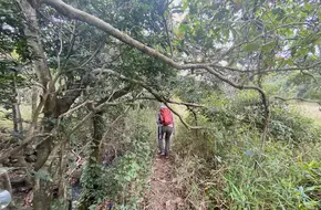 Fengyuan Butterfly Conservation Area