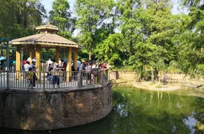 Shenzhen Safari Zoo Mandarin Duck Path