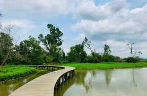 Hong Kong Wetland Park - Special Area