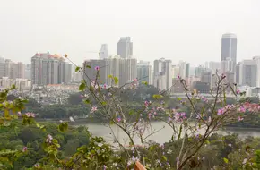 Honghu Tower