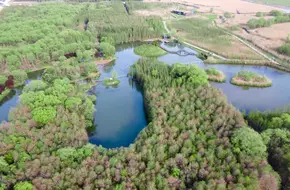 Xisha Wetland