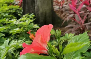 Butterfly Bay Park