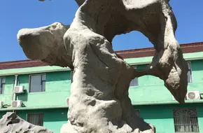 Geological Ecological Grand View Park
