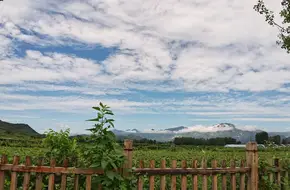 Jinxi Yuan Ecological Farm