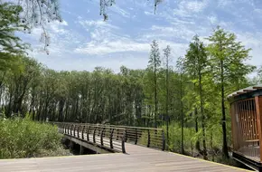 Xisha National Wetland Park - Tidal Flat Landform