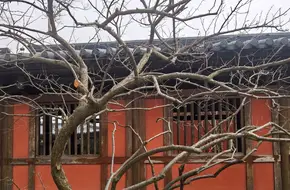 Fulin Tower