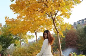 Xinjiangwan City Park