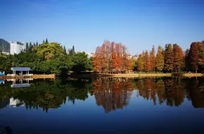 Shihai Park