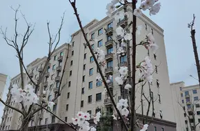 Nanhui Zhujiao Town Cultural Center