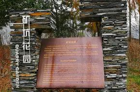 Chen Shan Botanical Garden - Mining Pit Garden