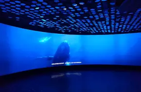 Deep Sea Exploration Pavilion