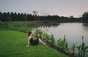 Dongtan Wetland Park - Cherry Blossom Island