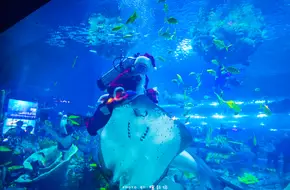 Underwater World Pavilion
