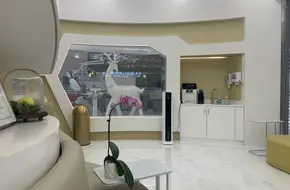 MiMeng Oral