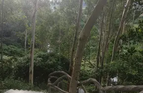 Wishing Pavilion