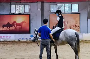 Shangwu International Equestrian And Archery Academy