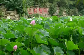 Guihu Park