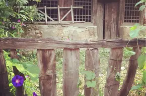 Longyunshan Scenic Area