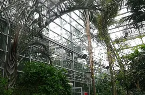 Nanshan Botanic Garden - Greenhouse Exhibition Center