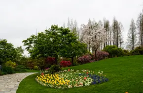 Chen Shan Botanical Garden - Mining Pit Garden