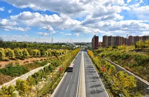 Yuanboyuan Ginkgo Avenue