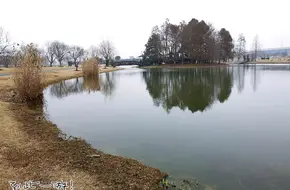 Qiusugen Garden