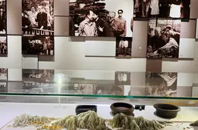 Shanghai Penjing Museum