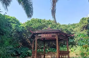 Shenzhen Xinguogong Wen'S Ancestral Hall